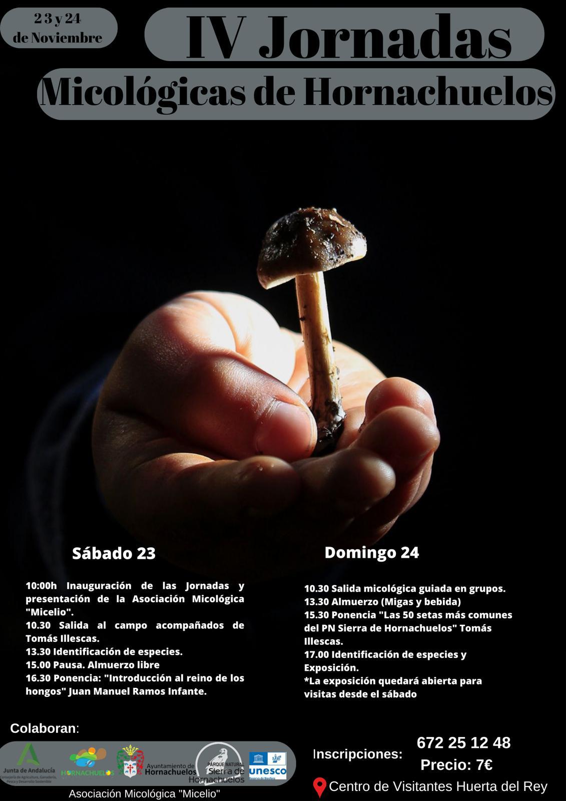 Cartel de las IV Jornadas Micológicas de Hornachuelos 2024.