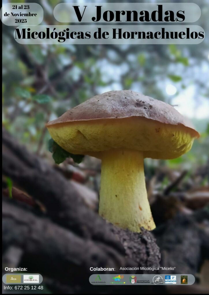 🍄V JORNADAS MICOLÓGICAS DE HORNACHUELOS 21-23 DE NOVIEMBRE.